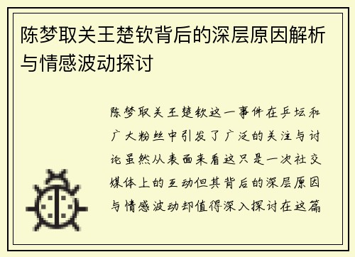 陈梦取关王楚钦背后的深层原因解析与情感波动探讨